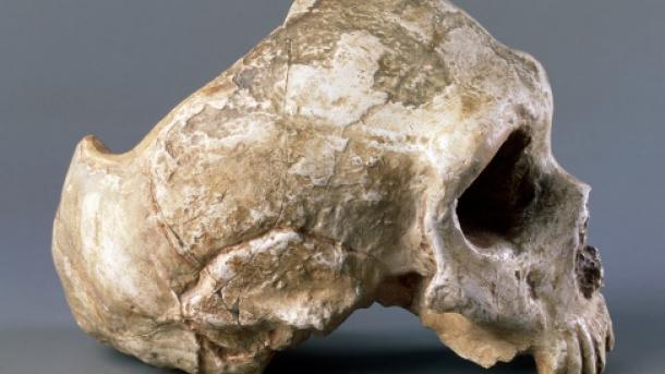 Descubren en Brasil la decapitación más antigua de América