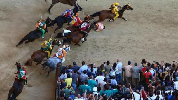 Siena, aperta inchiesta sull'uccisione del cavallo