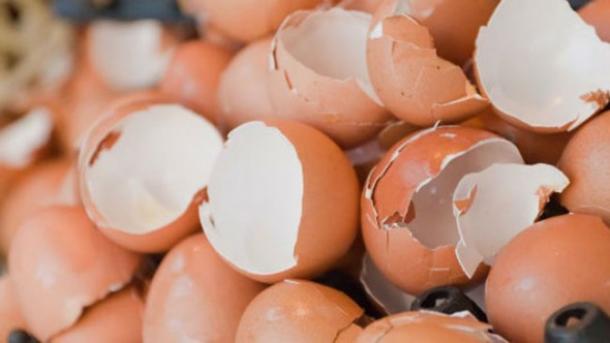 Cáscara de huevo es el conservante natural de alimentos 