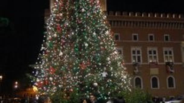 Megérkezett a karácsonyfa a római Szent Péter térre