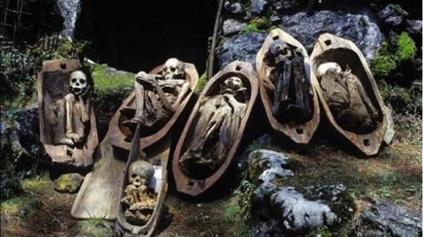 Bosque de espíritus que hospeda a la muerte: Aokigahara