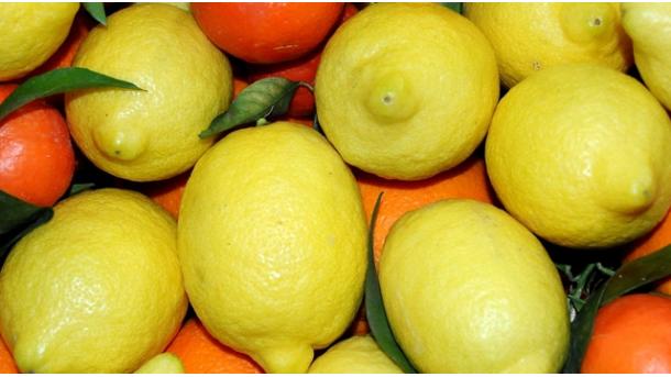 EE.UU. quita el veto a la importación de limones argentinos