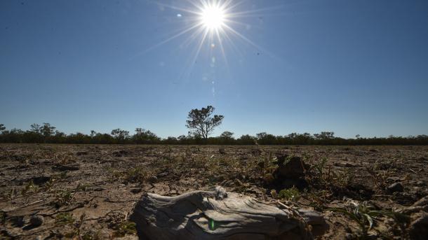 Australia está en las garras de la peor sequía del siglo