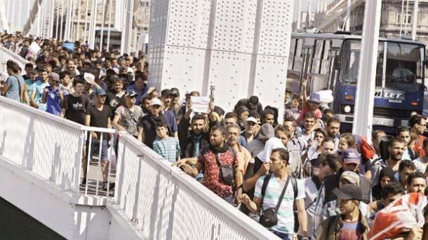 Egyre több a migráns a szerb-magyar határ térségében