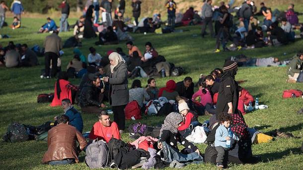 Avstiya Azadlıq Partiyası hökumət əleyhinə cinayət işi açdırdı