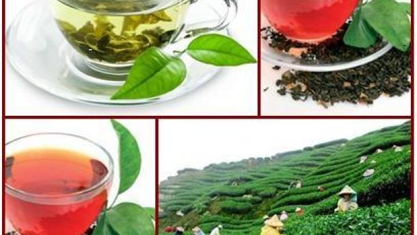 Szabályozzák a tea tisztaságát