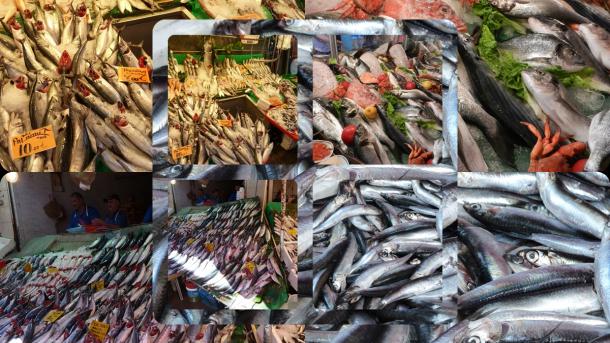 Kezdődik a halászati szezon Törökországban 