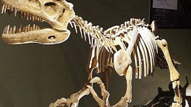 САЩ връщат останки от динозаври на Монголия