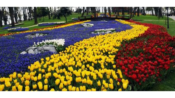 Começa o festival das tulipas em Istambul