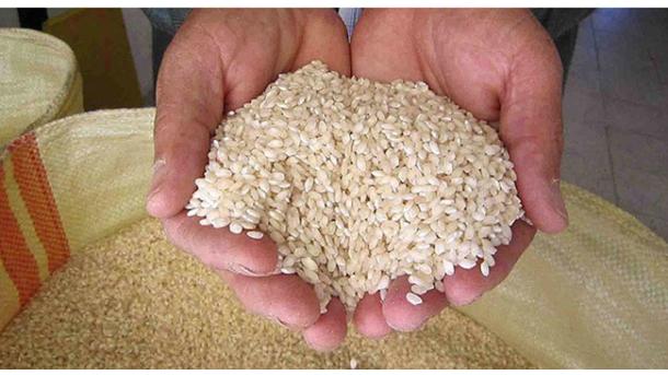 Csökkentik a rizs áfa-ját