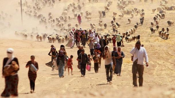 Jazidiak harcolnak az ILIÁ ellen Irakban