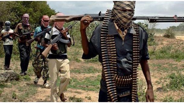 کشته شدن 27 شبه نظامی بوکوحرام در کامرون