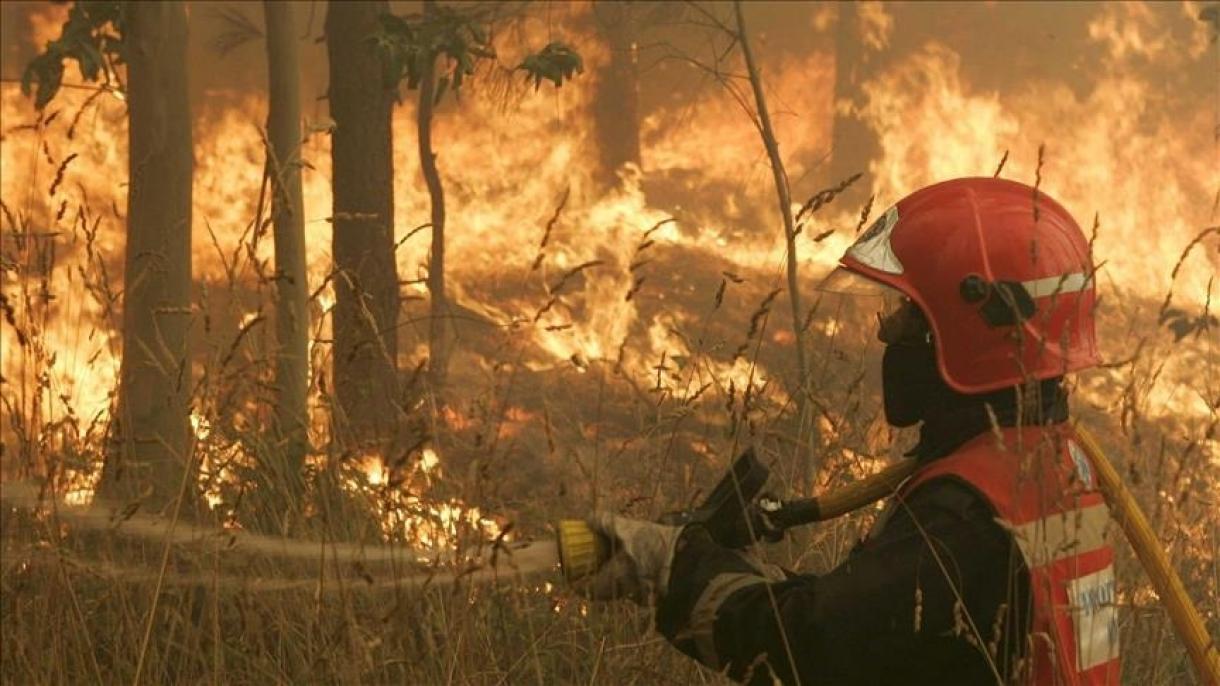 اولین آتش‌سوزی جنگلی سال در اسپانیا