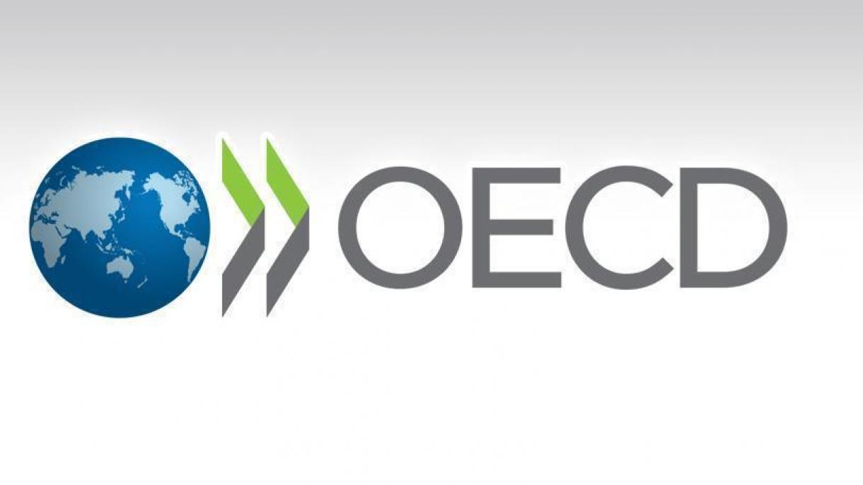 OECD Түркиянын өсүү күтүүлөрүн жогорулатты