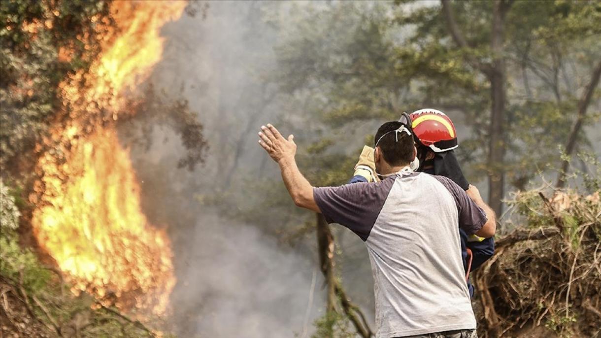 Dezenas de aldeias evacuadas devido aos incêndios florestais na Grécia