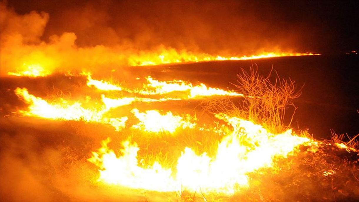 YPG/PKK恐怖分子纵火焚烧叙利亚平民农地