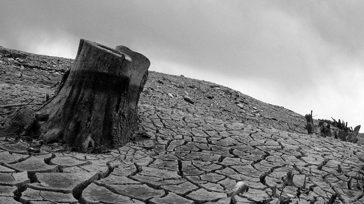 ایالت کالیفرنیای امریکا با خشکسالی مبارزه می کند