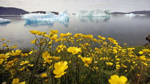 یخچالهای گرینلند ذوب می شود