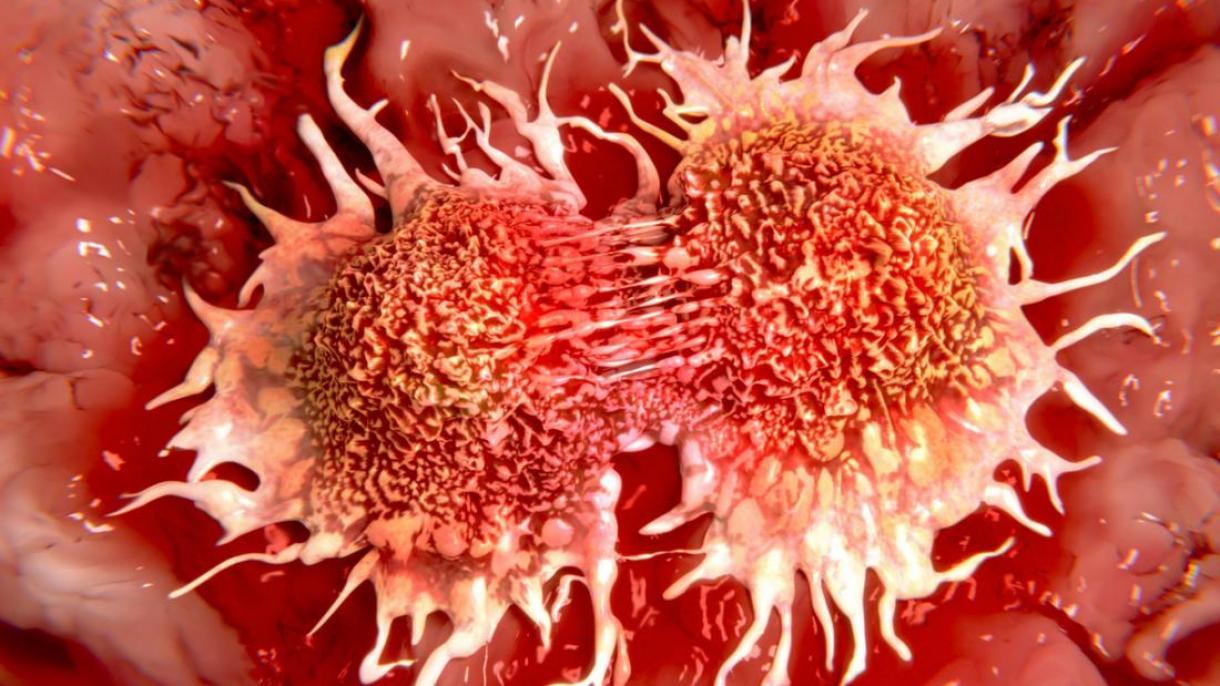 Nuevo estudio encuentra posible punto blando para atacar al cáncer