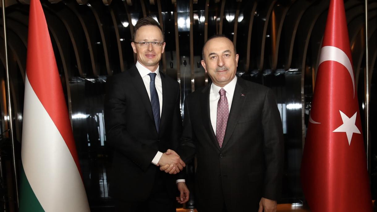 وزیر خارجہ کی استنبول میں ہنگیریئن ہم منصب سےملاقات،دو طرفہ امور پر غور
