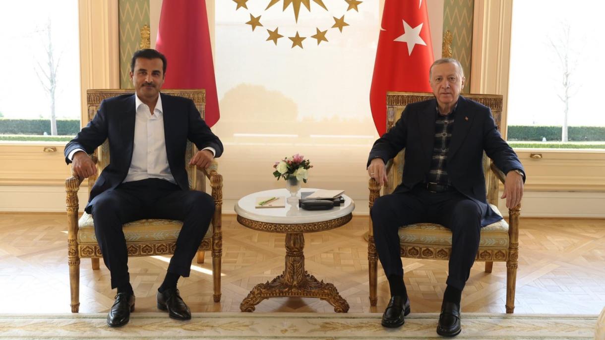 اردوغان و امیر قطر در استانبول دیدار کردند