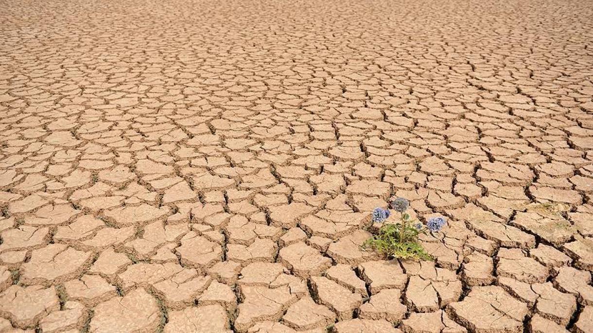 中国西北部400多万面临旱灾