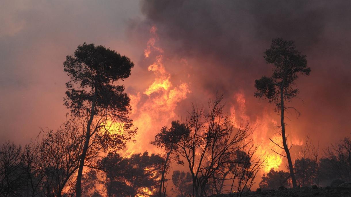 Segítséget nyújt Portugáliának az erdőtüzek megfékezéséhez az Európai Unió