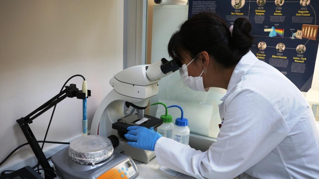 Turquia produz o primeiro kit de diagnóstico do mundo com duplo anticorpo