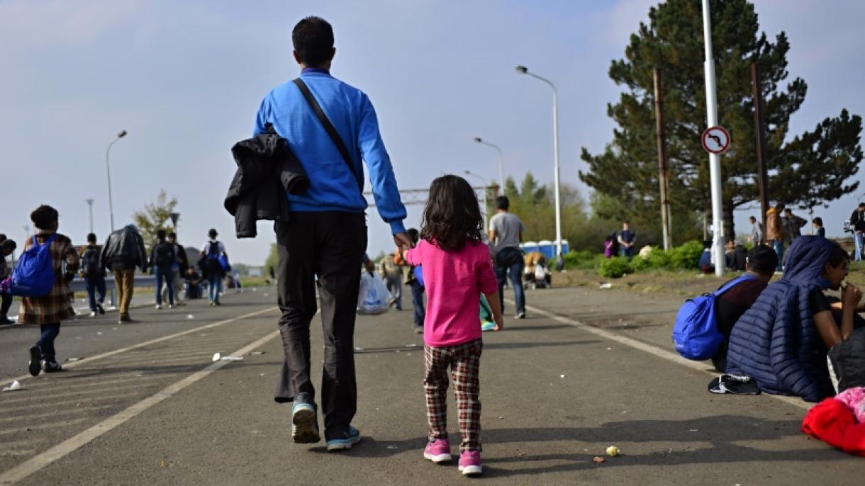 欧盟难民庇护申请人数有所减少