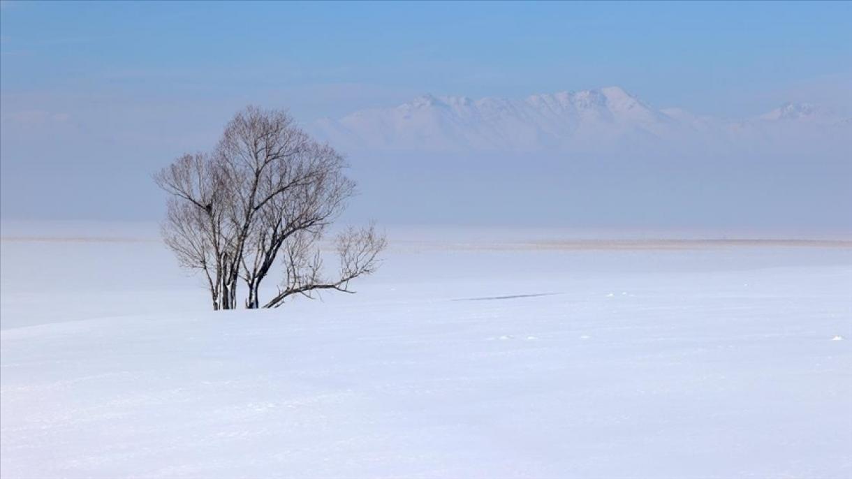 中国漠河市极寒破54年来最冷纪录！