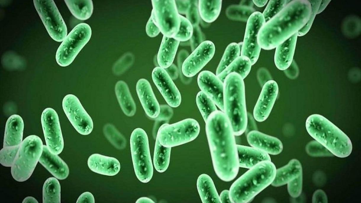 وزارت بهداشت ایران از ابتلای 5 نفر به بیماری وبا در این کشور خبر داد