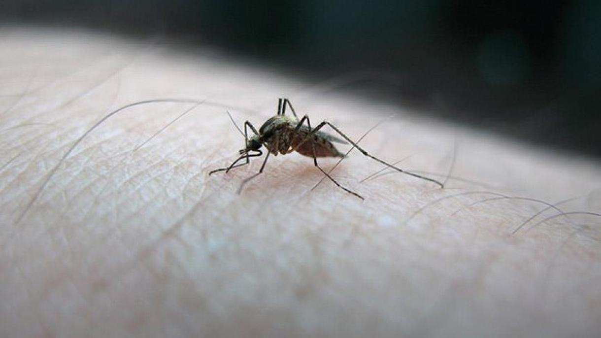 Venezuela registra más de 180.000 casos de malaria