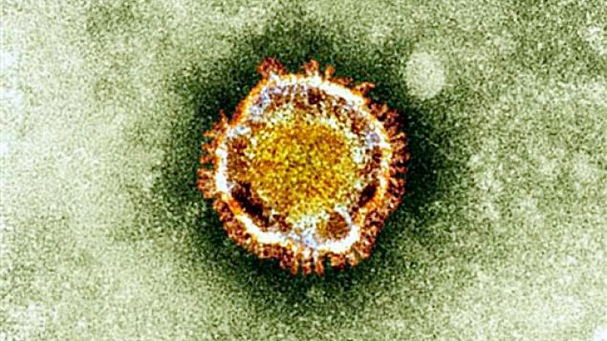 کرونا ویروسی اینگ آز 17 گۆن یاشاپ بیلیأر