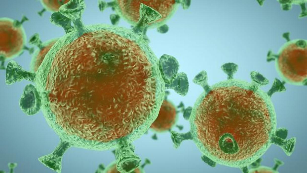 کورونا وبا کا خوف دنیا بھر پر طاری