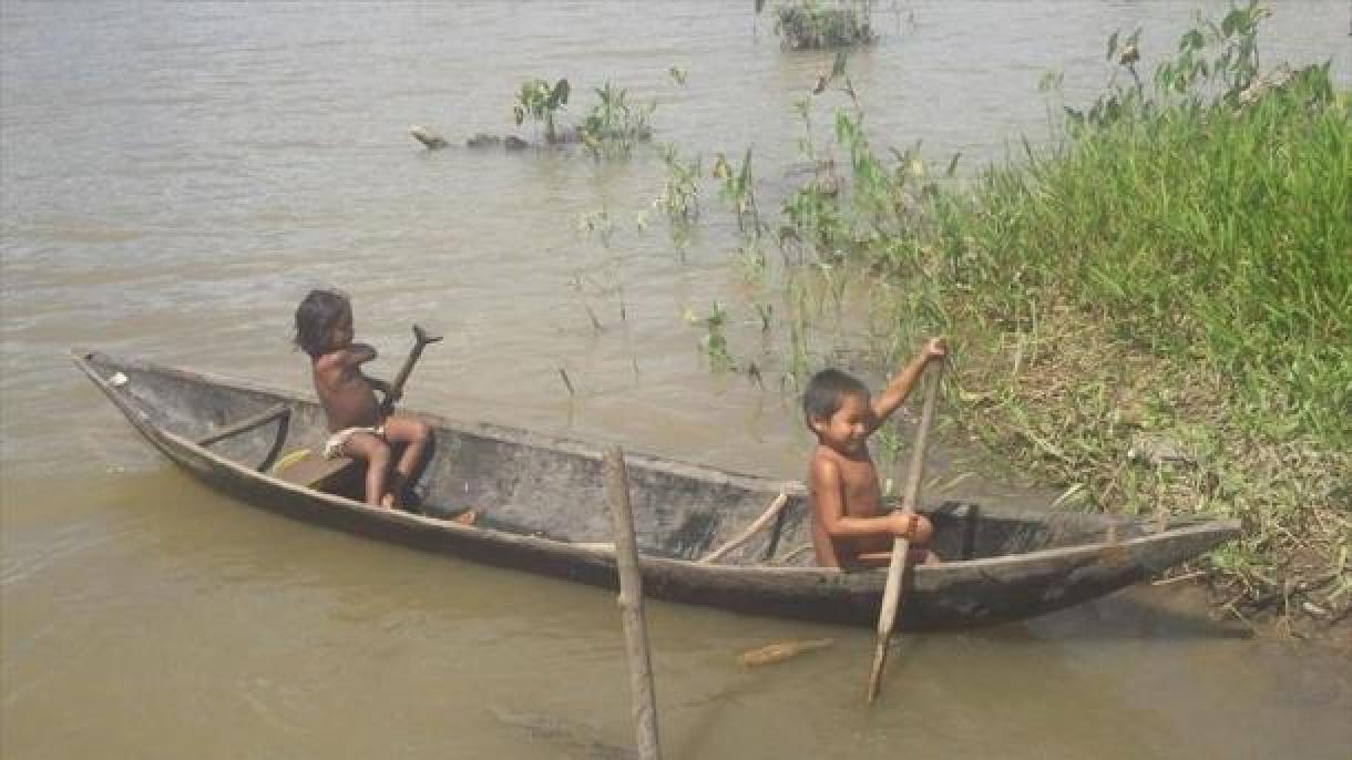 CIDH alerta para grave situação dos indígenas no Brasil