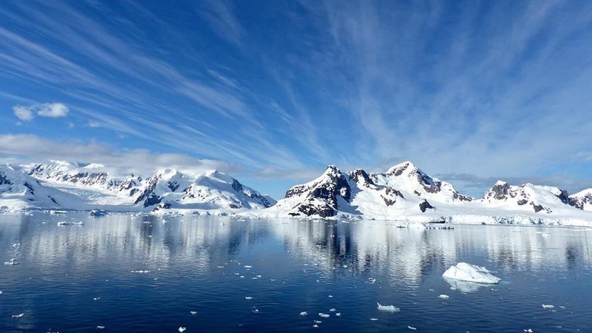 Las criaturas llevadas con buques pueden amenazar al ecosistema de Antártica