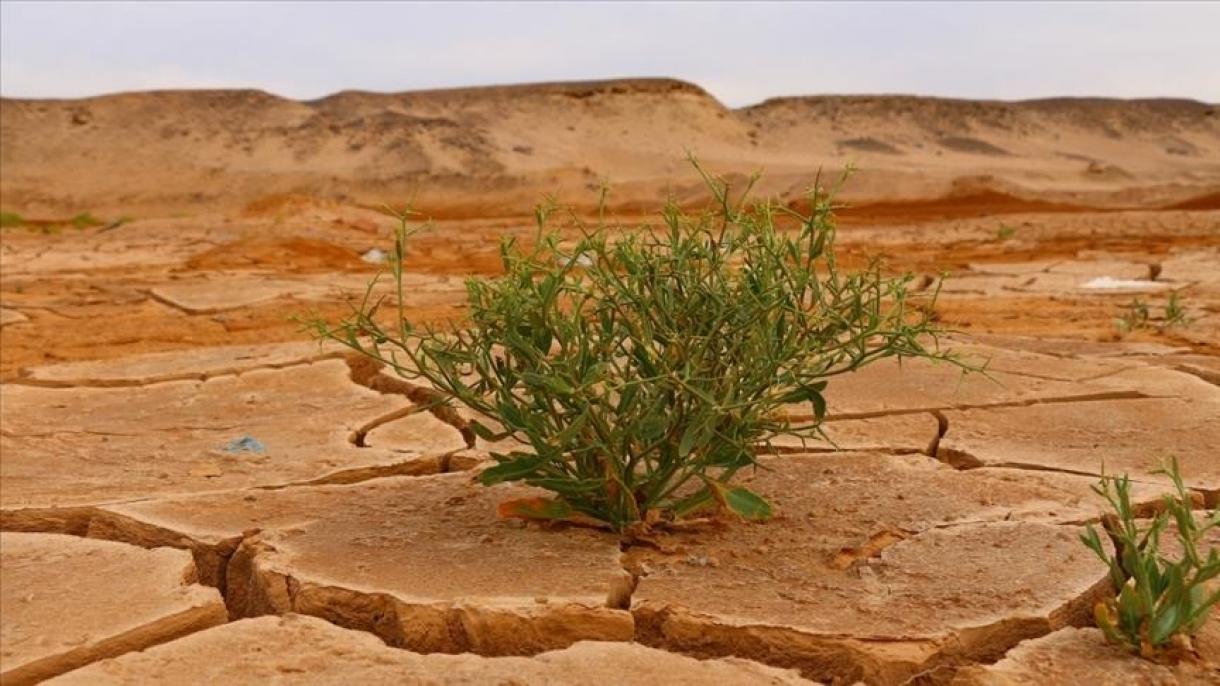 ایران با بی‌سابقه‌ترین خشکسالی نیم قرن اخیر مواجه است