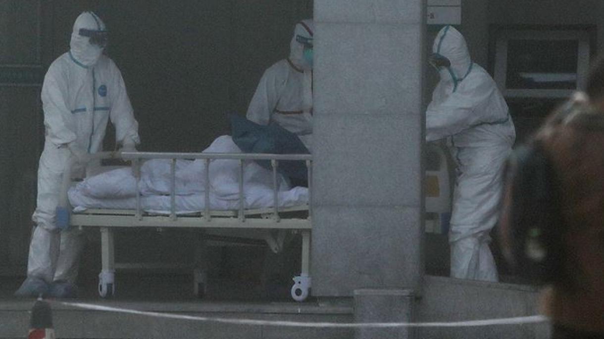 中国新型冠状病毒导致9人丧生