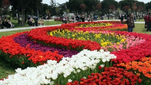 İstanbul Lalə Festivalı başladı