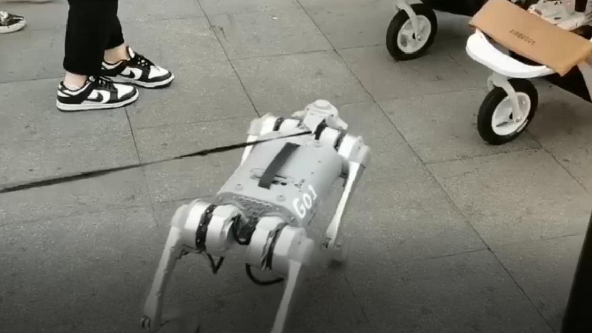 在中国机器狗亮相街头