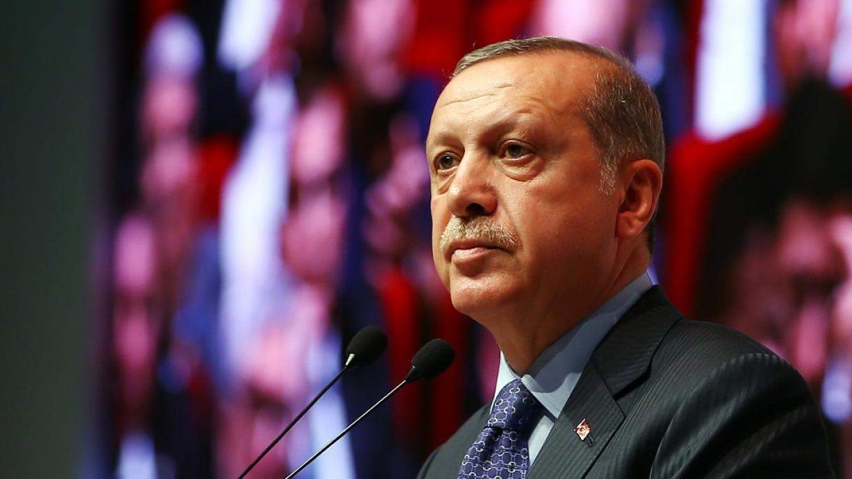 Erdogan: "Turquía piensa que EEUU no se compagina con la organización terrorista (PKK/PYD)"