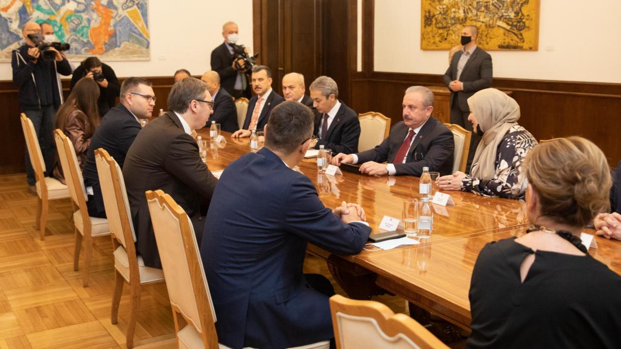 دیدار و گفت‌وگوی رئیس مجلس ترکیه با رئیس جمهور صربستان