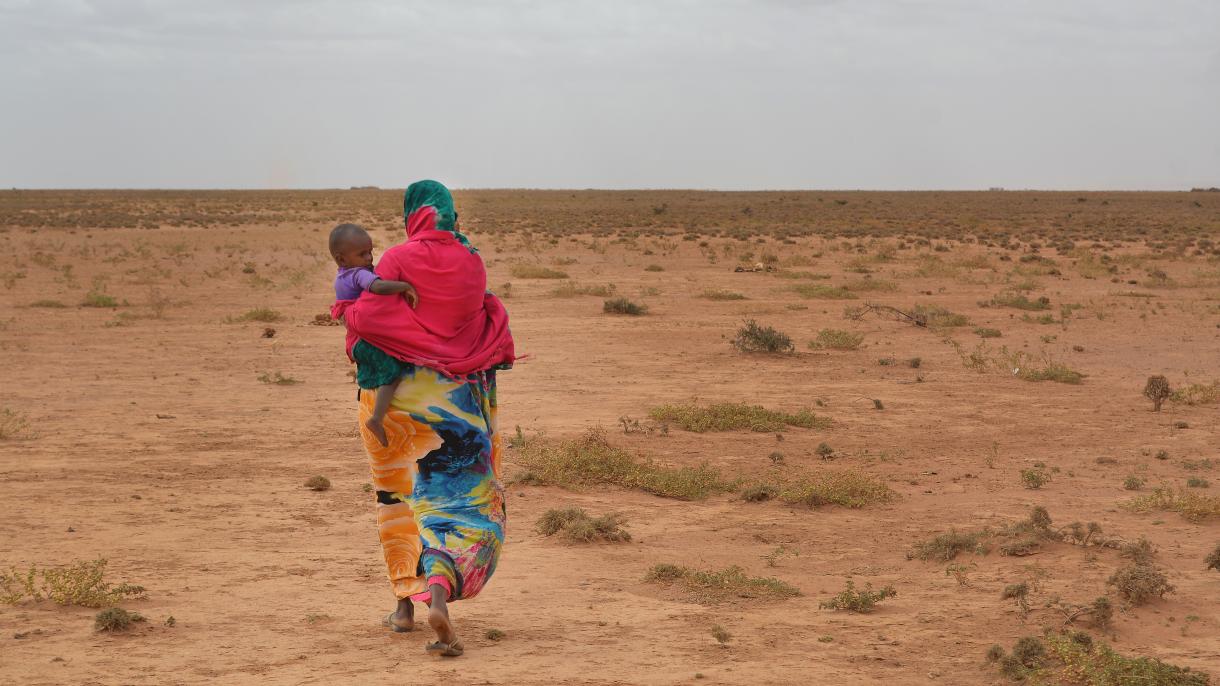 Somalia, dalla grave siccità si dichiara lo stato di "disastro nazionale"