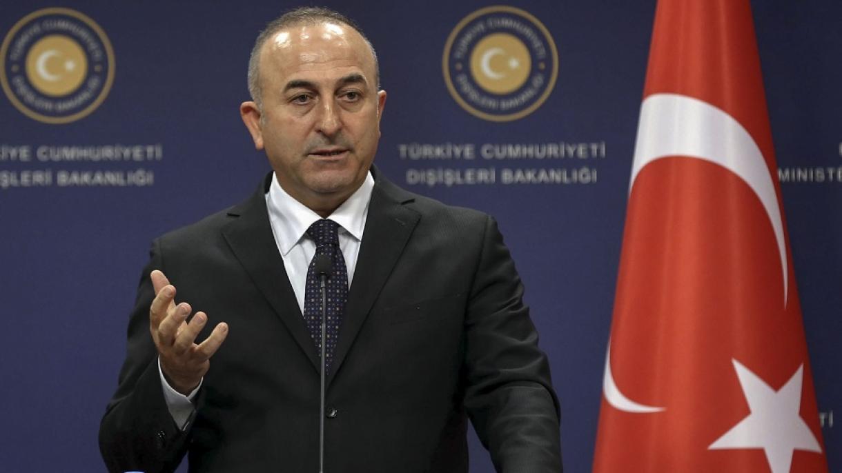土耳其外长赴法国参加叙利亚问题会议