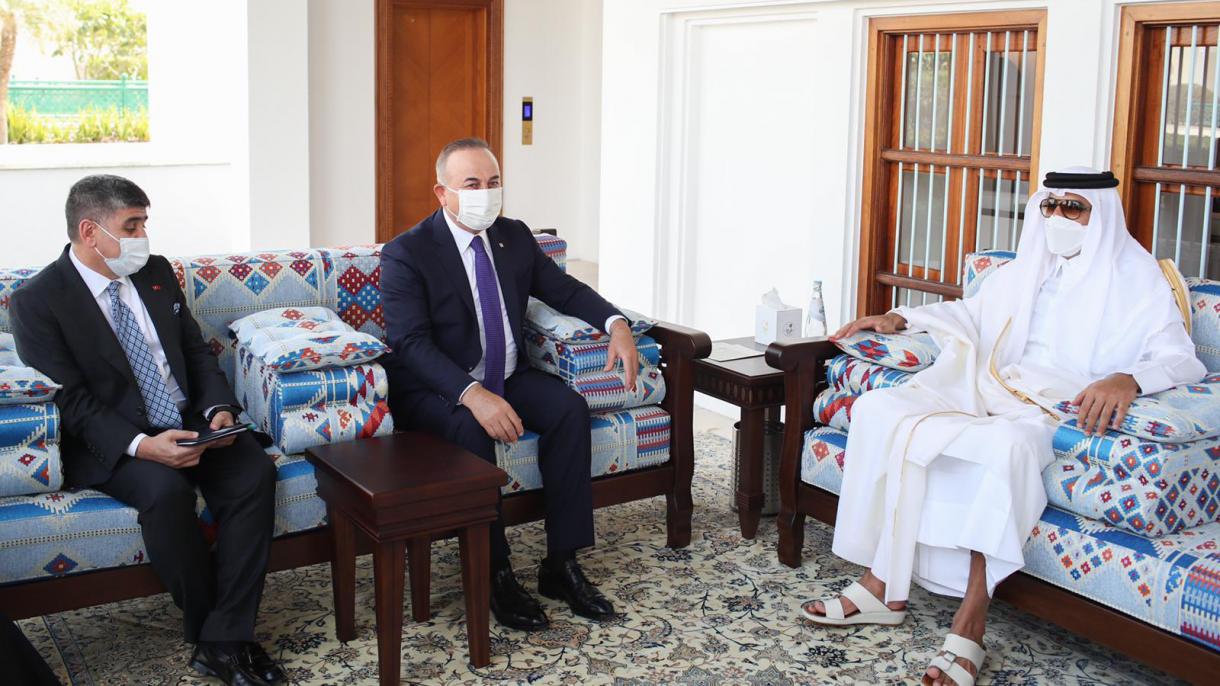 土耳其外长与卡塔尔埃米尔在多哈会晤