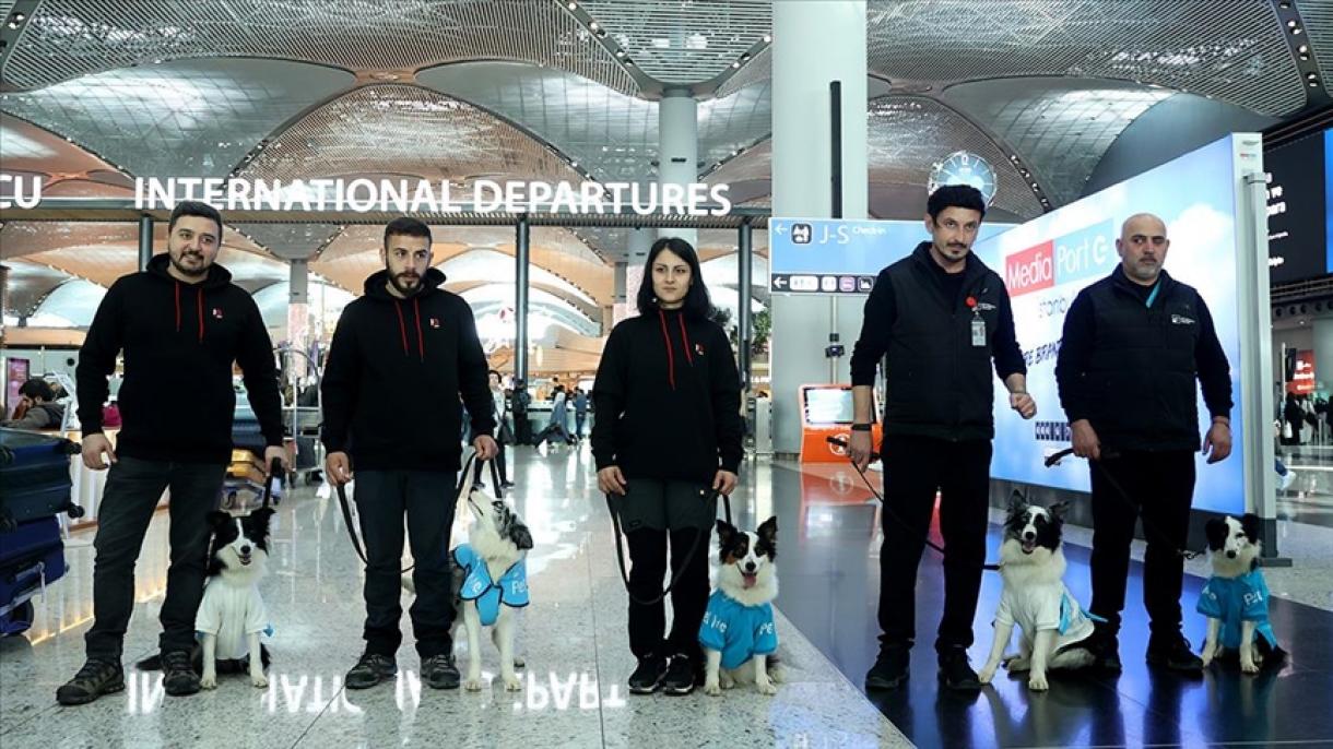 "Терапевтични кучета" започнаха работа на летището в Истанбул