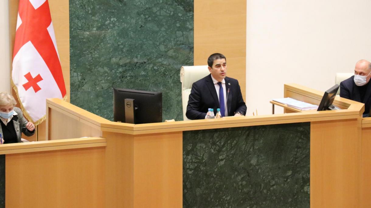 Грузиянын  парламент спикерлигине Шалва Папуашвили шайланды
