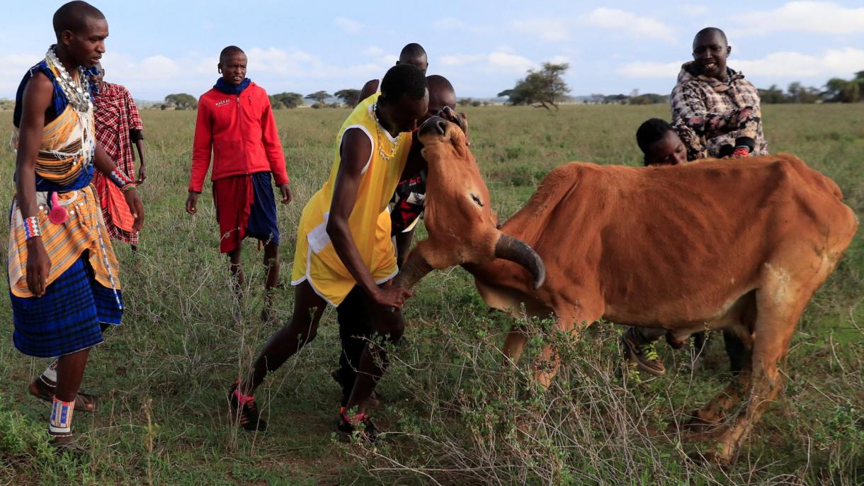 Maasai Olympics 3