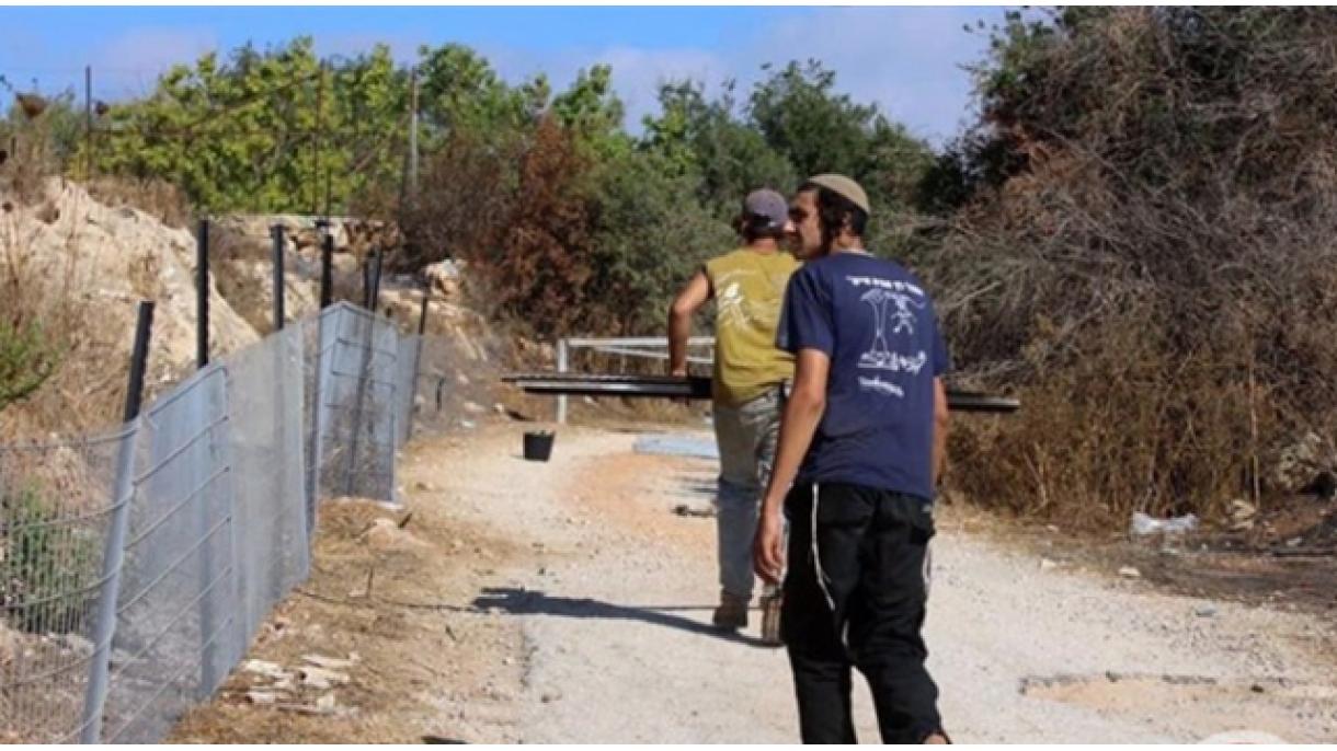 حمله شهرک‌نشینان یهودی به کشاورزان فلسطینی در کرانه باختری