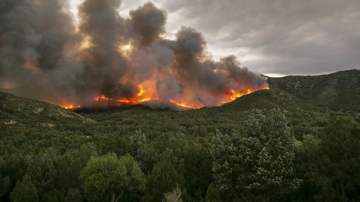 یورپ میں شدید گرمی،جنگلاتی آگ میں اضافہ